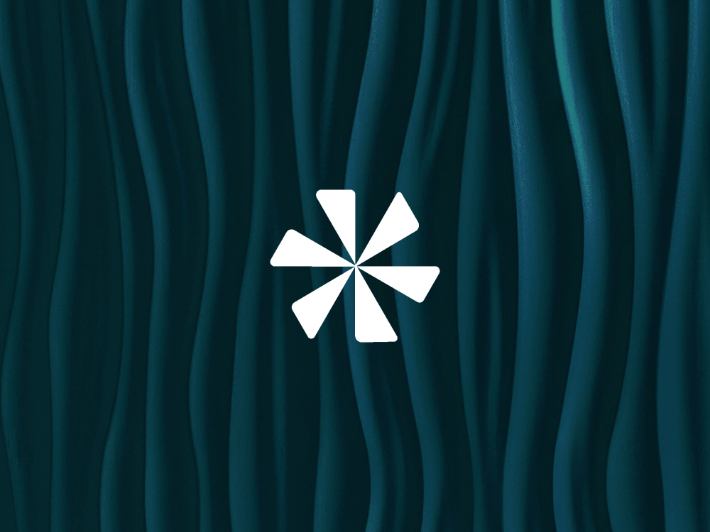 Startup Webdesign Marin County